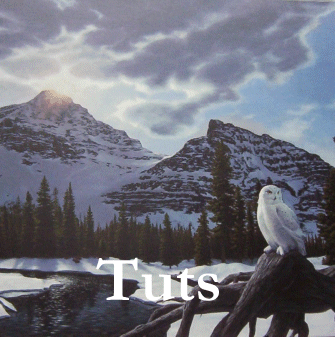 Edwin Tuts